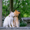Pets
