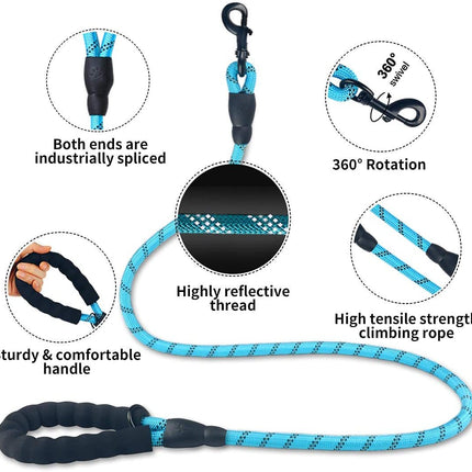 Chaîne de laisse lumineuse pour chien de petite et moyenne taille