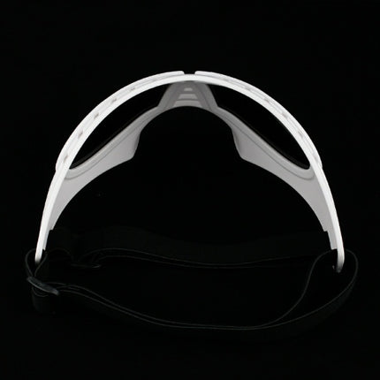 Lunettes imperméables pour chien