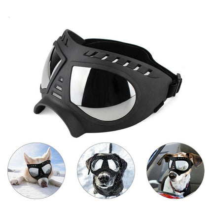 Lunettes imperméables pour chien