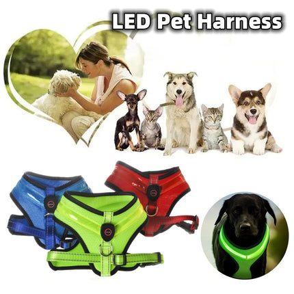 Harnais lumineux LED pour chien