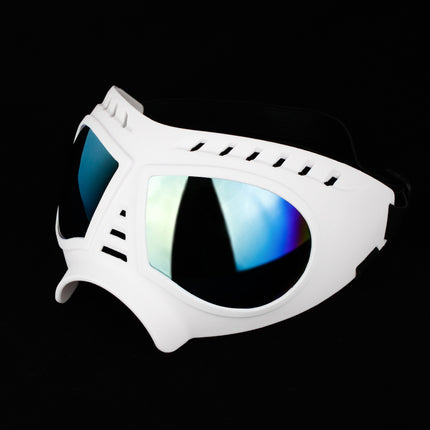 Lunettes imperméables pour chien
