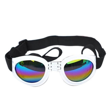 Lunettes de soleil pliables pour chien