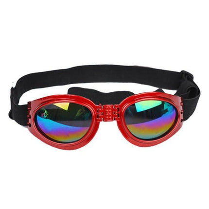 Lunettes de soleil pliables pour chien