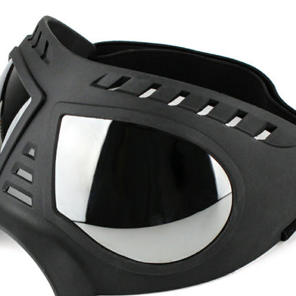 Lunettes imperméables pour chien
