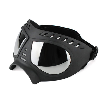 Lunettes imperméables pour chien