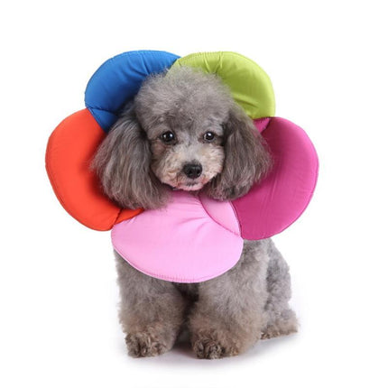 Collier de protection pour animaux de compagnie