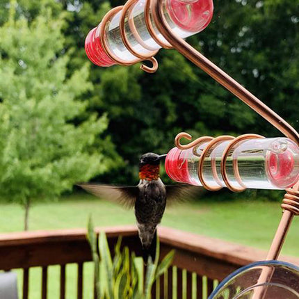 Fournitures pour mangeoires à oiseaux de jardin