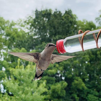Fournitures pour mangeoires à oiseaux de jardin