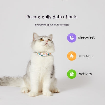 Équipement portable de détection d'activité pour chien de compagnie