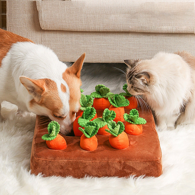Carrot Plush Interactive Toy