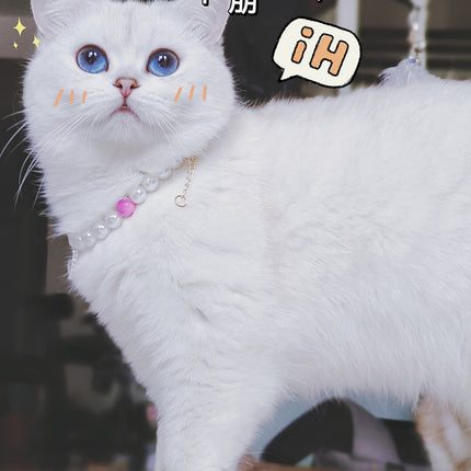 Collier de perles pour chat de compagnie