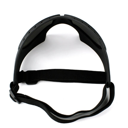Lunettes imperméables pour chien