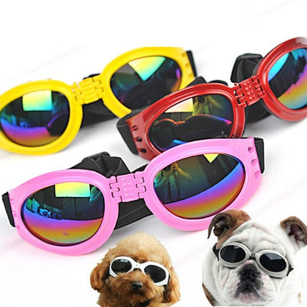 Lunettes de soleil pliables pour chien