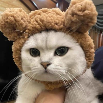 Pet Hat Bear Plush Hood