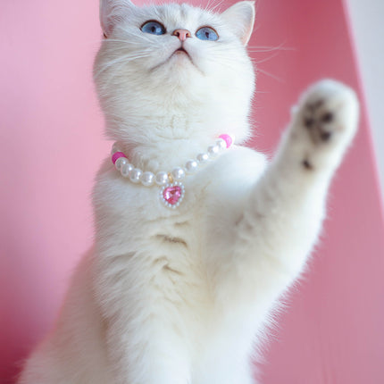 Collier de perles pour chat de compagnie