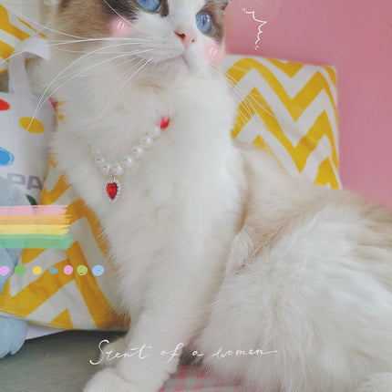 Collier de perles pour chat de compagnie