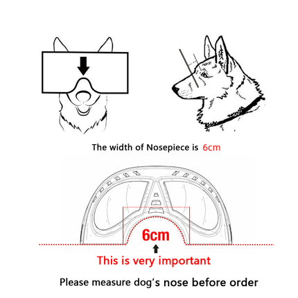 Lunettes imperméables pour chien
