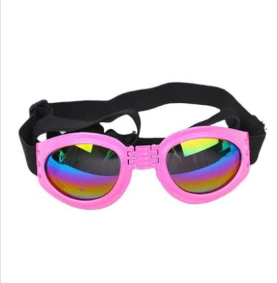 Lunettes de soleil pliables pour chien
