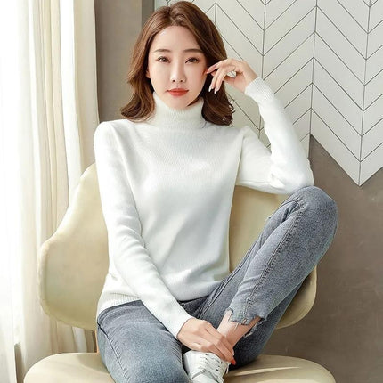 Turtle Neck Winter Sweater