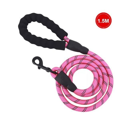 Chaîne de laisse lumineuse pour chien de petite et moyenne taille