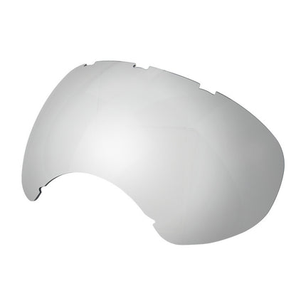 Lunettes de ski pour chien