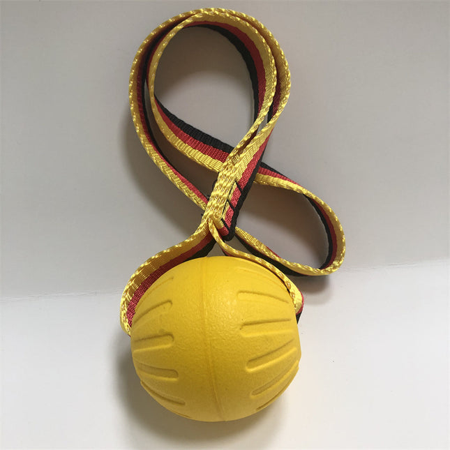 Puppy Training Ball