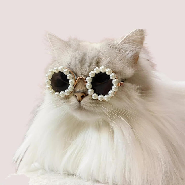 Lunettes de soleil en perles pour chat et chien