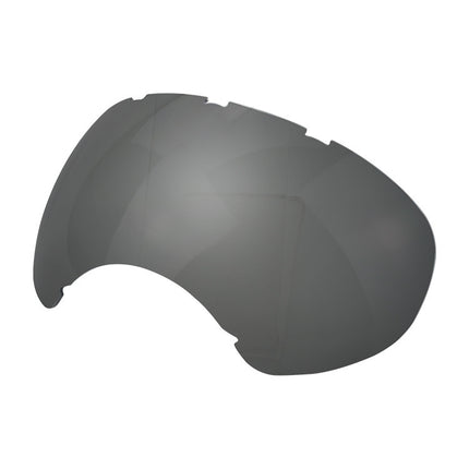 Lunettes de ski pour chien