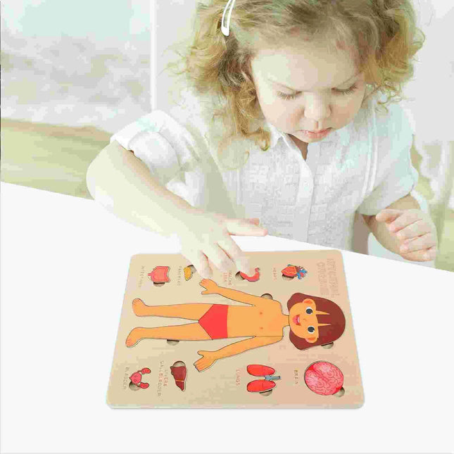 Montessori Toys Human Body