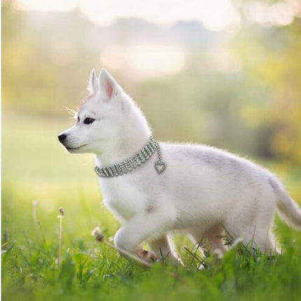 Collier pour animal de compagnie à quatre rangées de strass