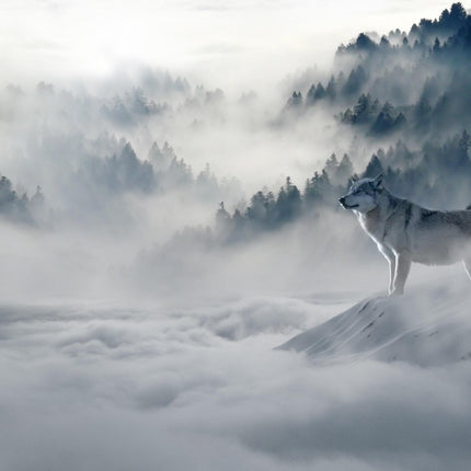 Wolf looking at mountain pattern tapestry, featuring wolves and misty mountain landscape for wall decor.