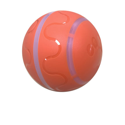 Wicked Intelligent Ball Toy