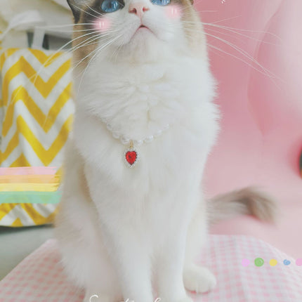 Collier de perles pour chat de compagnie