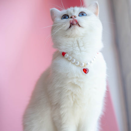 Collier de perles pour chat de compagnie