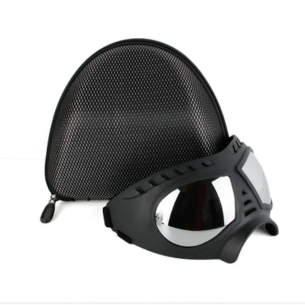 Lunettes imperméables pour chien