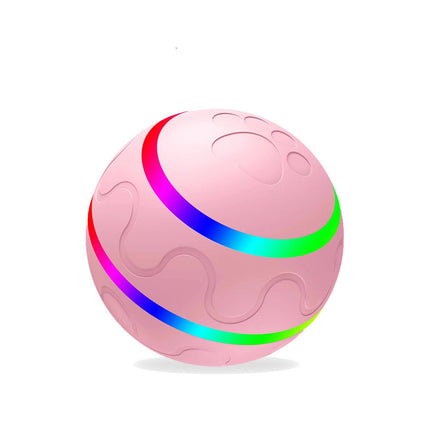 Wicked Intelligent Ball Toy