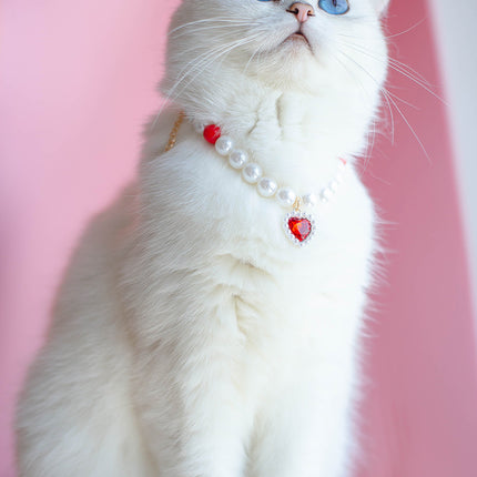 Collier de perles pour chat de compagnie