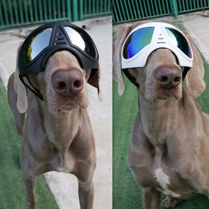 Lunettes imperméables pour chien