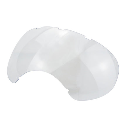 Lunettes de ski pour chien