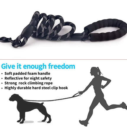 Chaîne de laisse lumineuse pour chien de petite et moyenne taille