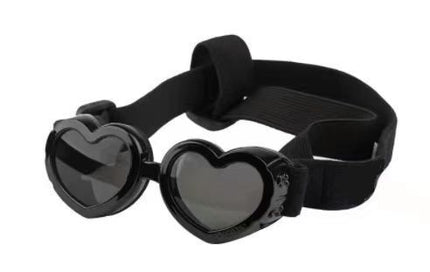 Lunettes pour animaux de compagnie