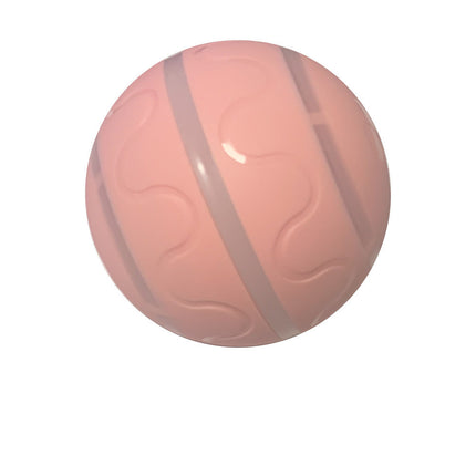 Wicked Intelligent Ball Toy