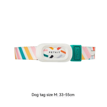 Équipement portable de détection d'activité pour chien de compagnie