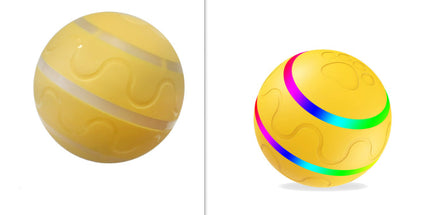 Wicked Intelligent Ball Toy