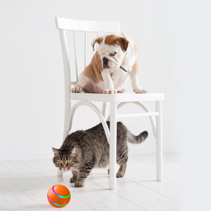 Wicked Intelligent Ball Toy