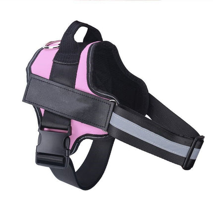 Harnais anti-traction personnalisé pour chien