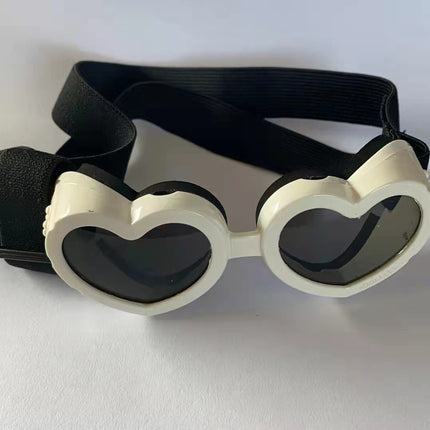 Lunettes pour animaux de compagnie