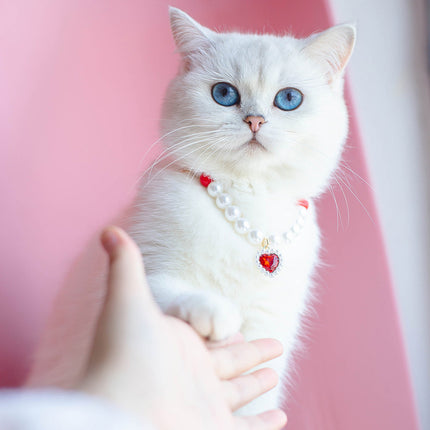 Collier de perles pour chat de compagnie