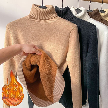 Turtle Neck Winter Sweater